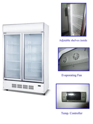 -18C ~ -23C ice cream freezer vertical display refrigerator freezer