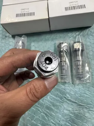 Original Nabtesco Travel Motor Relief Valve GM21VA