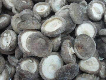 Iso22000 Green Freezing Fresh Mushrooms , Best Iqf Frozen Vegetables For Hotels