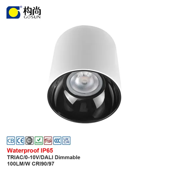 32W Anti-glare Suspended Pendant Lamp IP65 Waterproof LED Surface Mounted Downlight