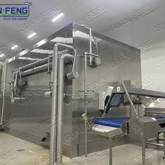 High-Quality CE Certified IQF Tunnel Blast Freezer Machine for Fish and Vegetables