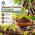 مستخلص Mucuna Pruriens مع 15%-99% L-Dopa للمكملات الغذائية وتطوير التركيبة