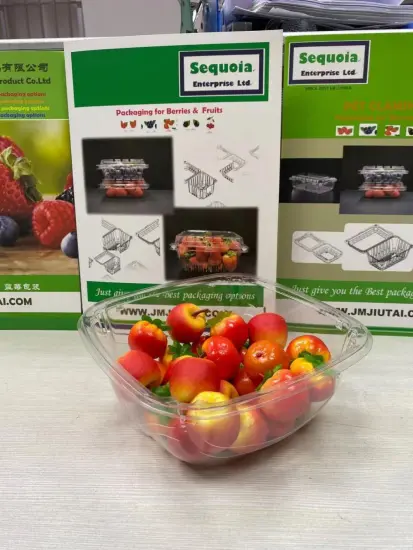 Tomato Tub non-toxic Panckaging Container