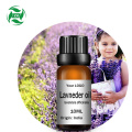 Aceite esencial de lavanda aromaterapia de alta calidad.