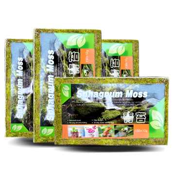 Natural Compressed Dry Moss for Reptile Supplies: Sphagnum Moss Hibernation Mat