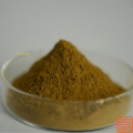 Extracto de hoja de oliva oleuropein 40%