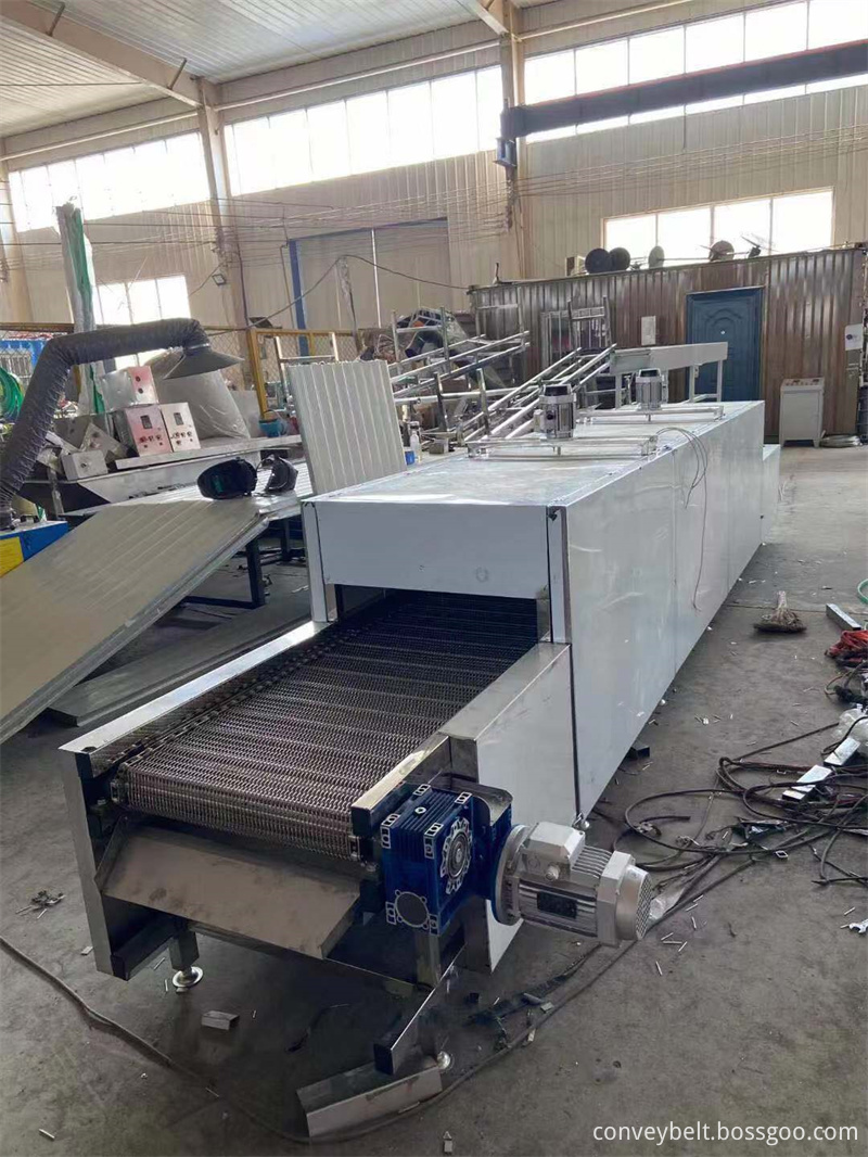 Customized Conveyor