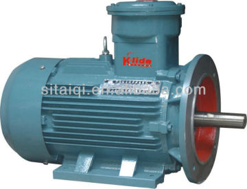 Hot sell YB2 Series high-voltage Explosion-Proof Three Phase AC Motor