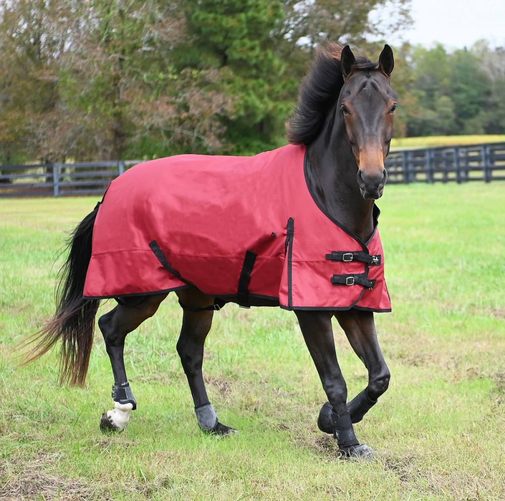 Manta de venta caliente para caballos