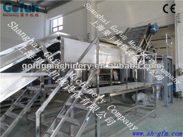 Fruit washing and sorting platform