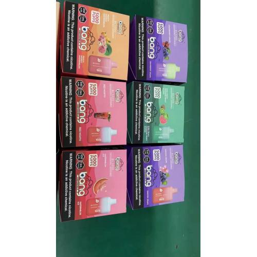 Vente chaude Bang BC5000 Sweden Disposable Vape