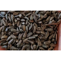 Arctium Lappa L. Seed Extract Burdock Seed Extract