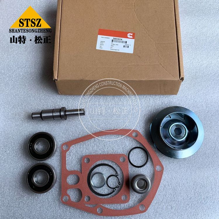 Cummins Engine Parts Water Pump 3803614