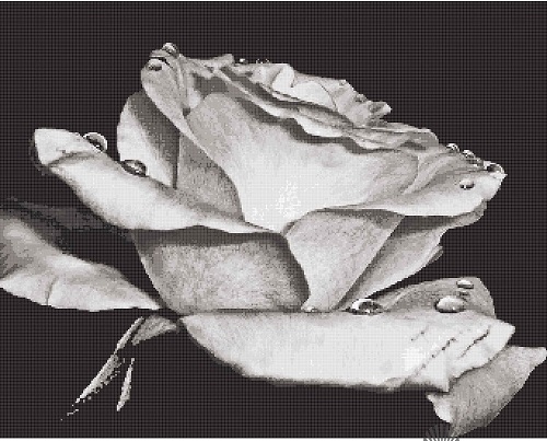 Glass Mosaic Rose Black And White Art Mural Glass Mosaic Rose Black And White Art Mural
