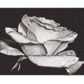 Черная и белая роза мозаика искусства плитки