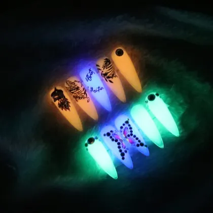 6 Color Luminous Acryl Gel System without Nail Form