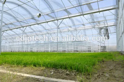 Greenhouse Technology for Agriculture