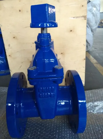 AWWAC509 rubber seat gate valve