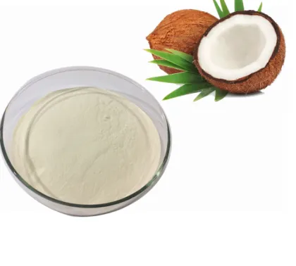 Organic Coconut Milk Powder Bulk
