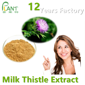 Milk Thistle Extract Powder Silymarin 80%