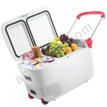 Custom Portable 26L Frost-Free Mini Car Fridge Refrigerator