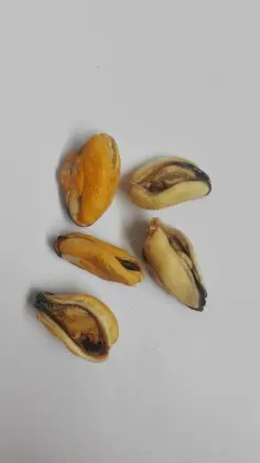 Good Taste High Protein FD Fish/Salmon/Cod Cube