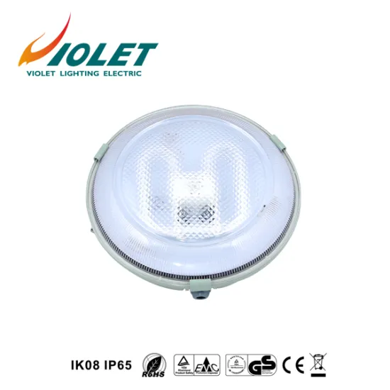 China Factory Supply LED Circular Fluorescent LightsFrom VIOLET