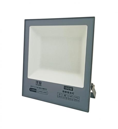 Waterproof IP65 Optional Power Plaza Light Flood Light