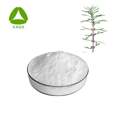 Leonurus Japonicus Extract Stachydrine Hydrochloride Powder