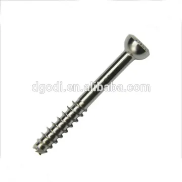 China customerized high quality titanium screw Dongguan supplier