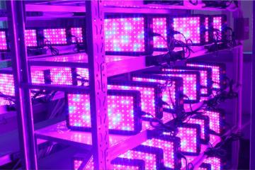 LED Plant Grow Lights For Vegetable Garden Lighting