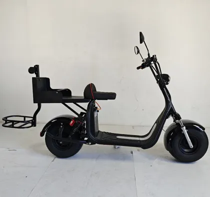 Electric Golf Scooters and Cart Motors for US/European Warehouses