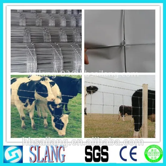 Factory supply high quality farm iron fence & field fence & cattle fence with the low price