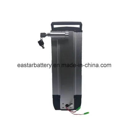 Electric Bike 48V 20ah Lithium Battery
