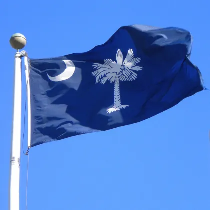 High quality 3x5 Ft South Carolina State Flag