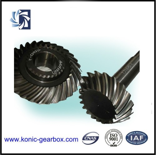Differential bevel gear
