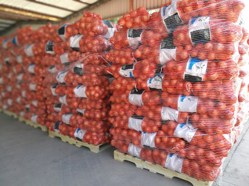 2018 New Crop Export  Garlic Price