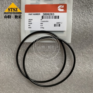 Cummins Spare Parts Oil Ring Seal 3899283