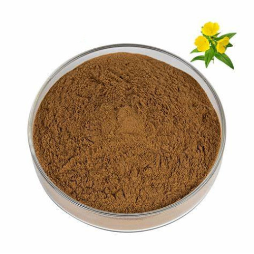 Evening Primrose Extract Sale