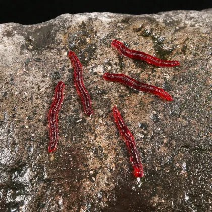 Wholesale Simulated Earthworm & Red Worm Soft Bait for Sea Fishing