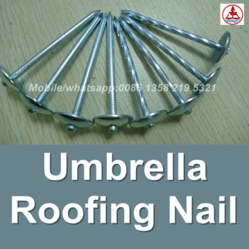 china 1 Lb. Electro Galvanized Umbrella Roofing Nail