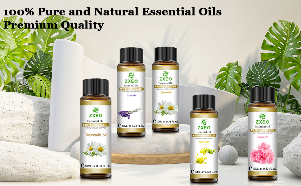 Organic natural camomile essential flower oil for aromatherapy diffuser i chamaemelum nobile skin care