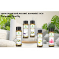 Camaneo natural de vía natural Aceite esencial para el difusor de aromaterapia I Chamaemelum Nobile Cuidado de la piel