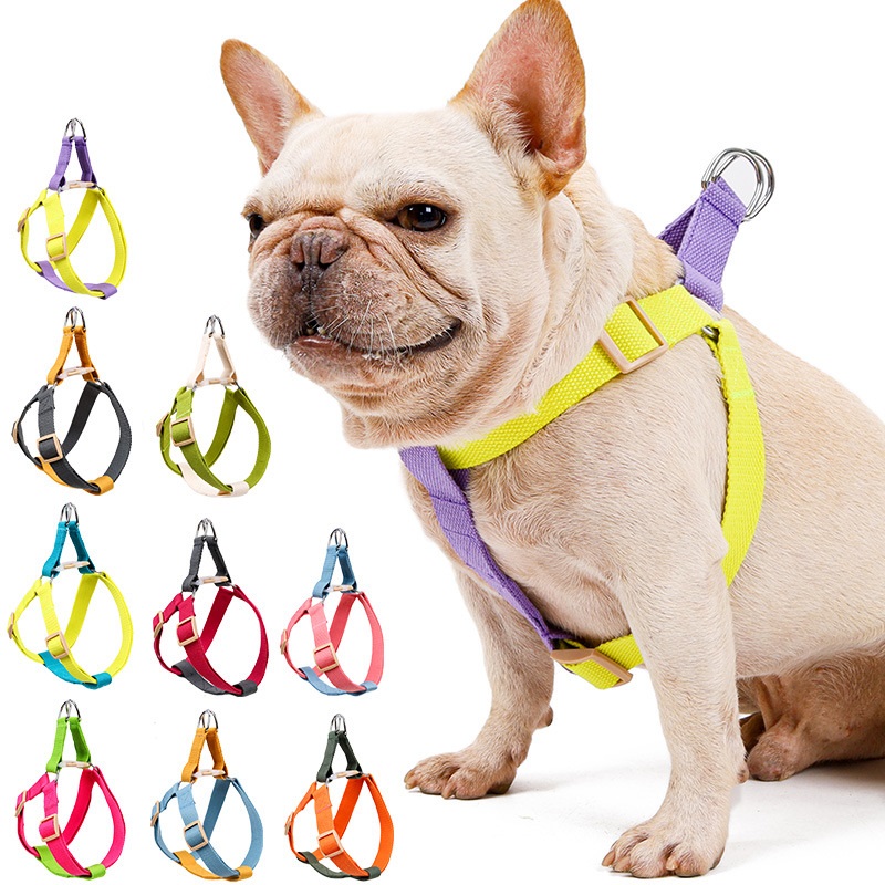 Dog Harness