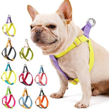 New Pet dog harness and leash set
