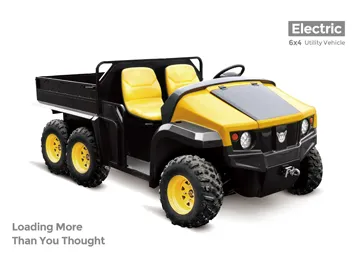 48V 5000W AC Motor Electric Golf Carts & UTVs with CE Certification