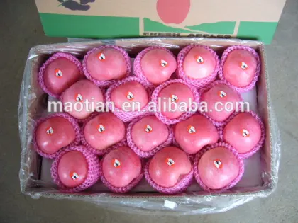 Fruit Apple rich of Vitamin C