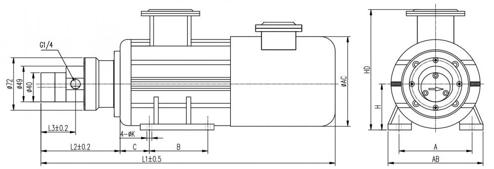 72 Variable Frequency Motor Micro Gear Pump