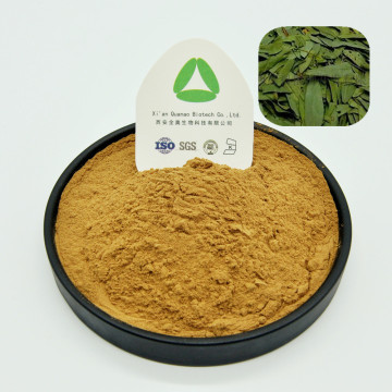 Senna Leaf Extract Powder Natural Radix 10:1 Organic