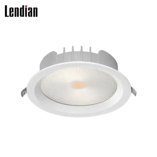 Dimming Aluminum COB 8W-40W 200mm Recessed Slim LED Downlight